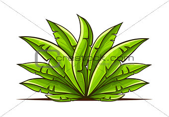 Tropical bush with green leaves hand drawn