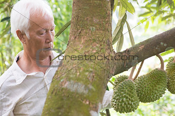 Farmer and durian tree.