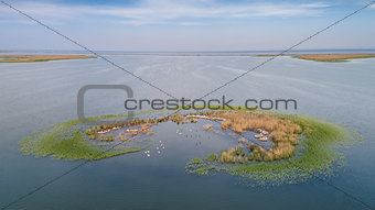 Ceaplace island. Danube Delta, Romania