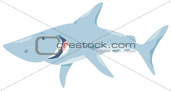 cartoon shark fish animal character