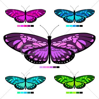 vector butterfly set 6