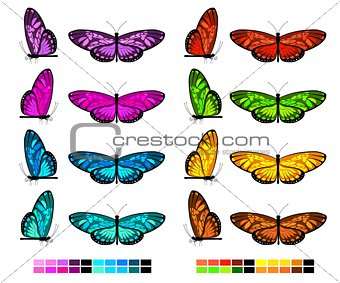 vector butterfly set 2
