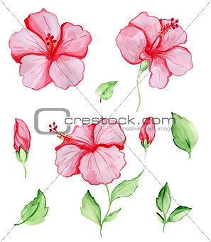 Red Tropical Flowers and Leaves
