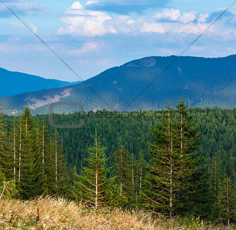Summer Ihrovets mountain view (Carpathian, Ukraine). 