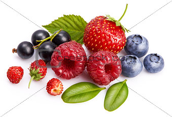 Set fresh berry. Mix summery fruit raspberry