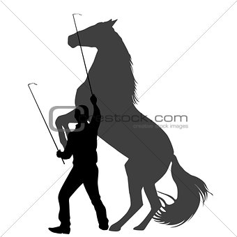 Silhouette of a man  training horse to rear up