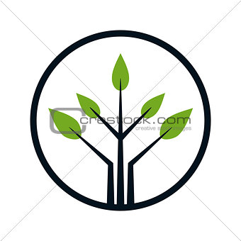 Logo design for tree