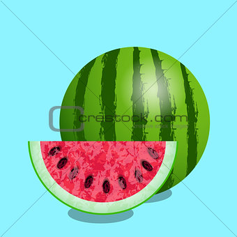 Watermelon and cut slice. Texture of the watermelon with seed. Vector illustration. Blue background