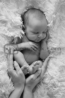 Portrait of newborn baby in the hands of parents