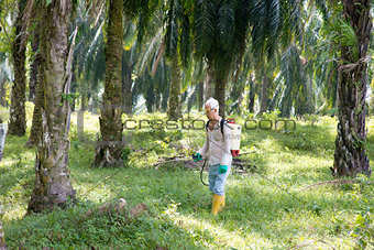 worker spraying herbicides 