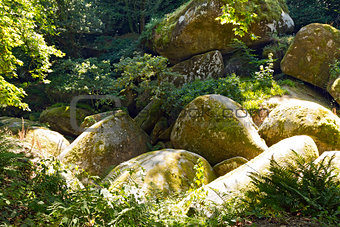 The Gigantic Boulders of Huelgoat Forest, France