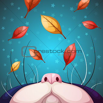 Cartoon cat characters. Fall illustration.