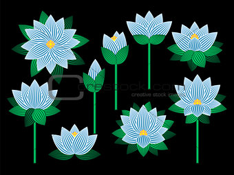 Set of lotus flowers.
