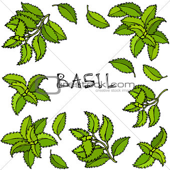 Fresh Green Basil Background and Frame. Aromatic Cooking Herb. Steak Meat Spice. Hand Drawn Illustration. Cute Doodle Style.
