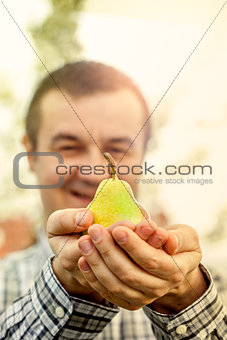 Fresh pears in hands