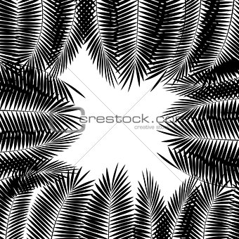 Black Palm Leaf on White Background. Vector Illustration