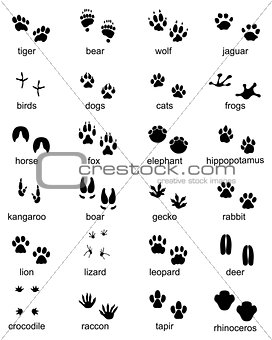 Set of footprints of wild animals
