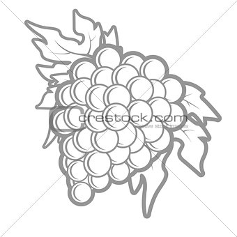 Outline of bunch of grapes in simple style