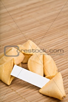 fortune cookies your text