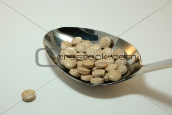 Serving Spoon of Brown Tablets 