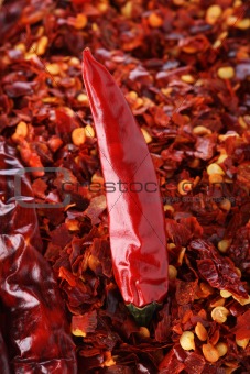 Hot Red Chilli Chillies pepper on red chili background