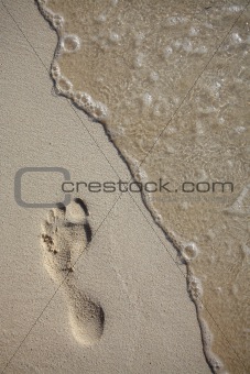 Footprint and Wave