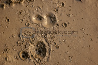 Mud with craters