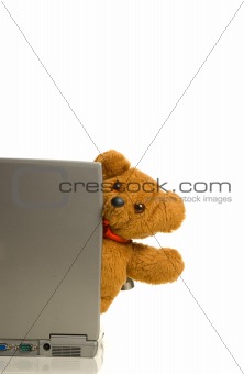 Teddy bear looking at you from behind a lapto