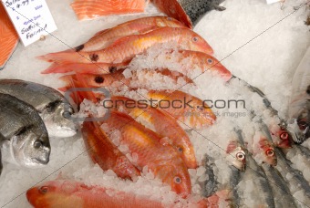 fish on fishmonger's slab