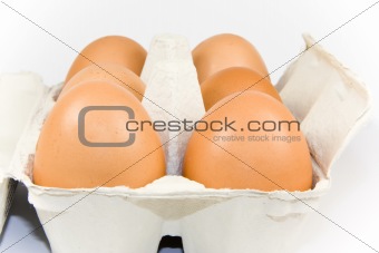 Six eggs in carton isolated