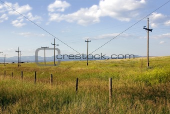 Field in Helena