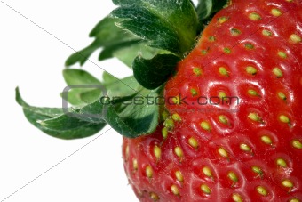 Detail of a strawberry