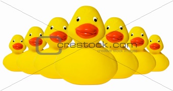 Rubber duckies fleet