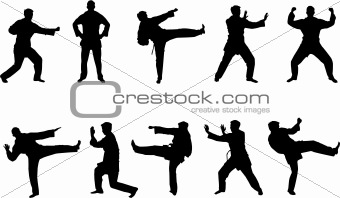 martial arts silhouettes