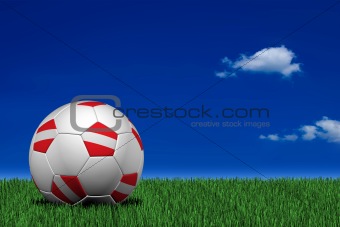 Austrian soccer ball