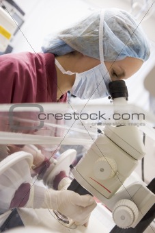 Embryologist using microscope 