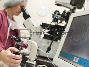 Embryologist perfoming intra cytoplasmic sperm injection