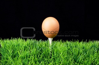 Egg on golf tee  