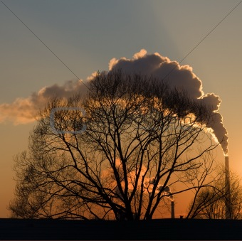 Smoke at sunset