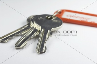 Keys with key fob (AD)