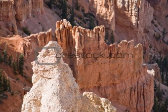 Black Birch Canyon Utah USA (CI)