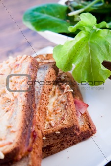 Grilled french sandwich with salad