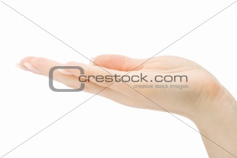 Woman hand holding anything isolated with clipping path