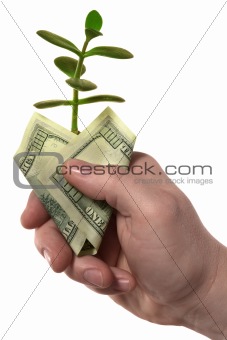 Hand,money,sprout