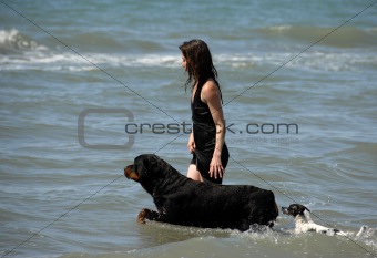 woman and dogs on the sea