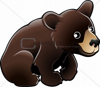 American Black Bear Cute Vector Illustration