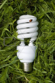 energy saving light bulb on grass with an environmental theme