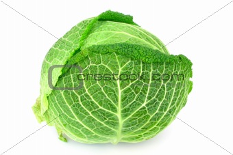 cabbage - isolated