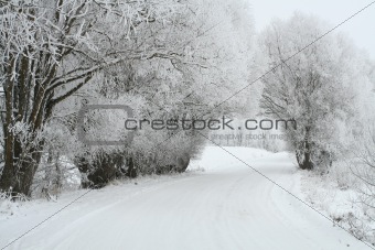 Winter road