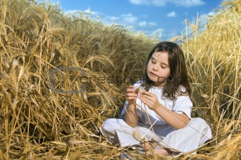 littel girl in a wheat field